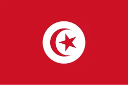 Tunis flag